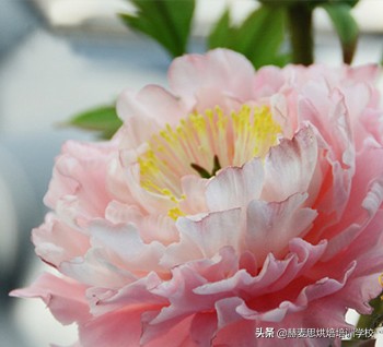 赫麦思烘焙培训班 翻糖蛋糕入门课程