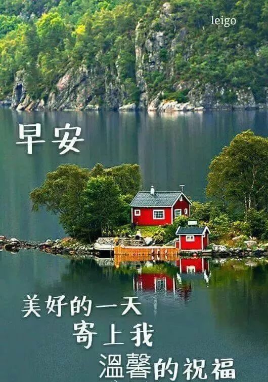 漂亮的早上好图片 天天开心 幸福安康 许一个美好心愿 愿你快乐到永远图片