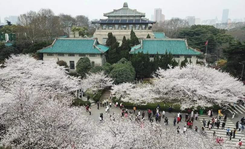 “武大”辅导员事件有后续了，官网公布白翔宇处分，网友：罚轻了