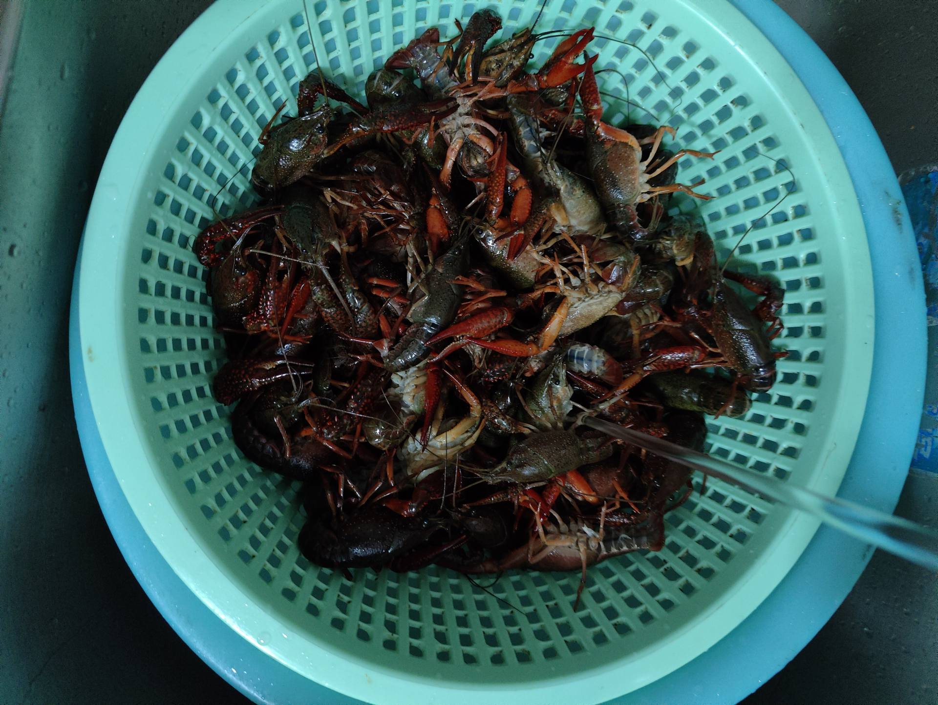 家常龙虾怎么做好吃又简单（教你在家做麻辣可口小龙虾）