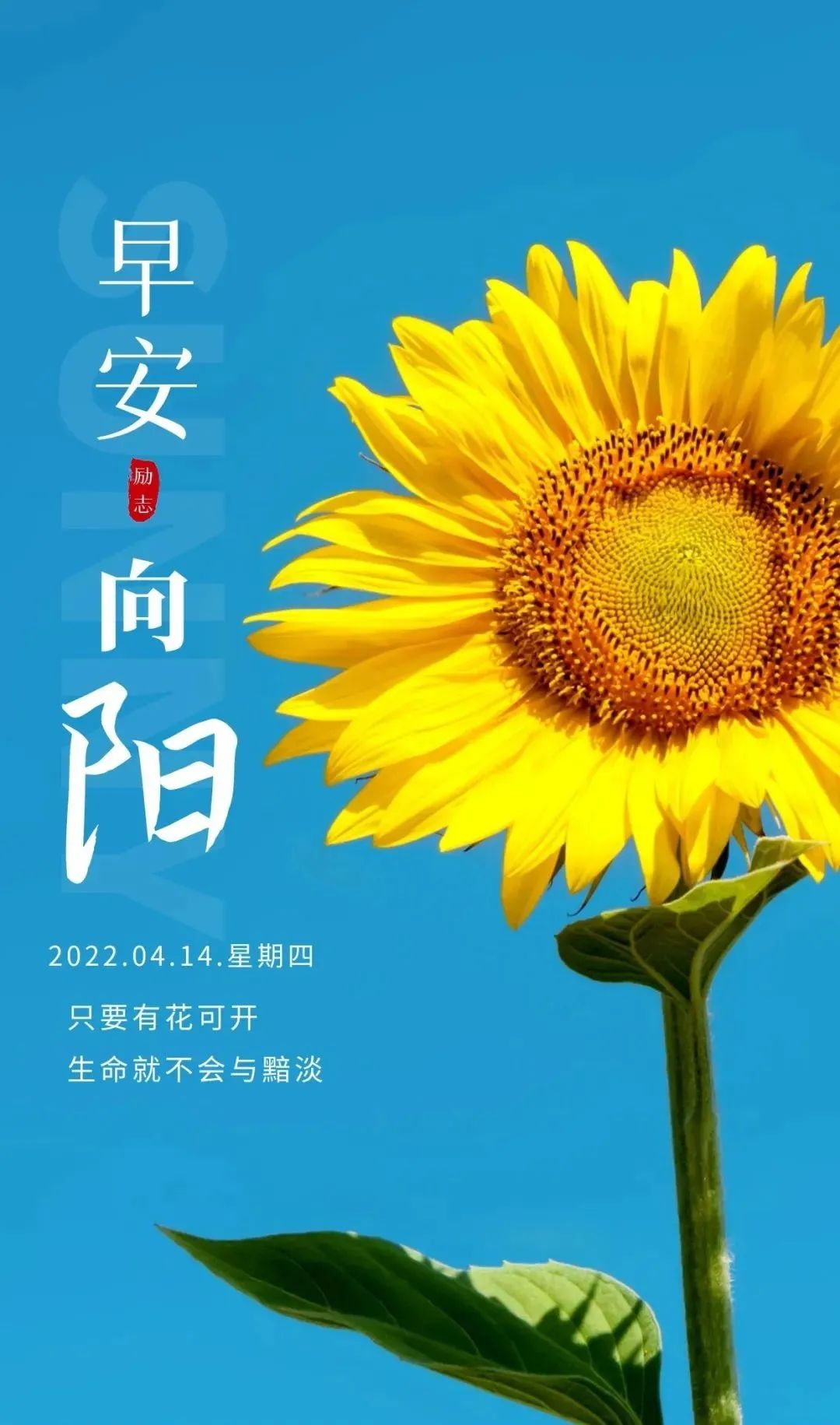 20220414早安心語正能量最棒心情語錄句子早上好問候圖片