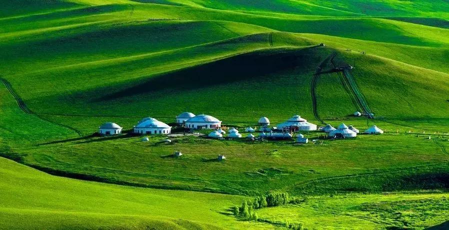 美丽的草原，我来了