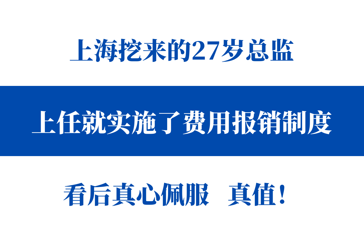 会计高薪（高薪挖来的财务总监）