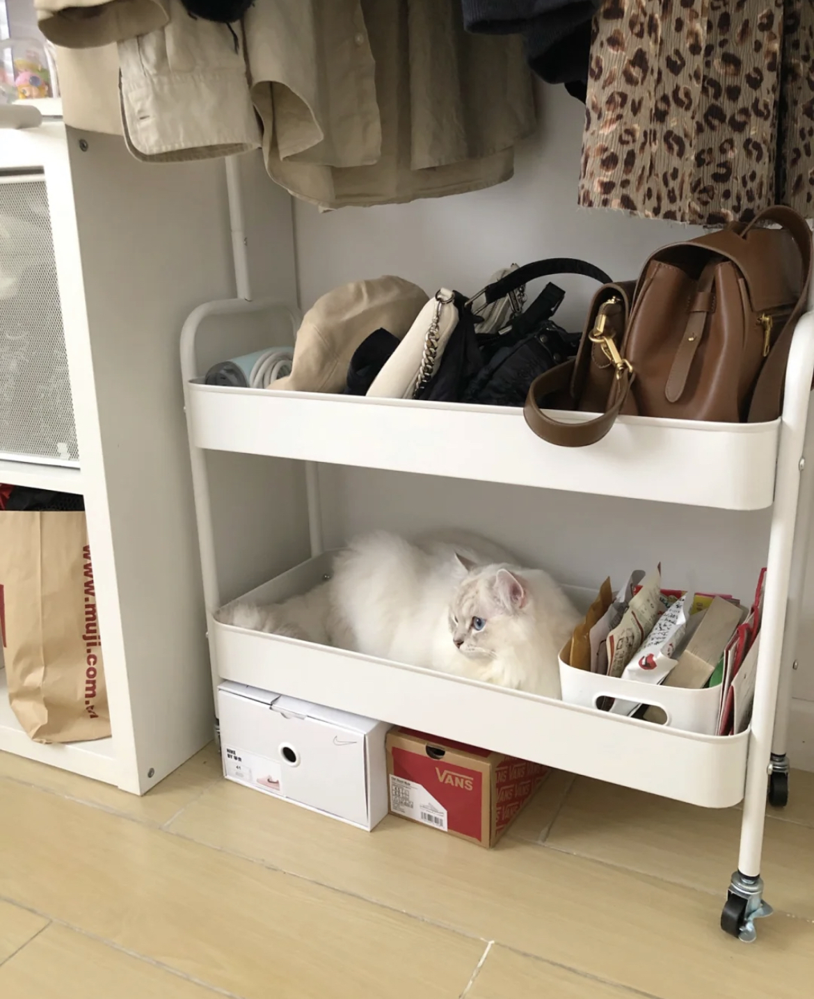 结婚3年，最佩服老婆置办的这10个小物件，让我少挨不少骂