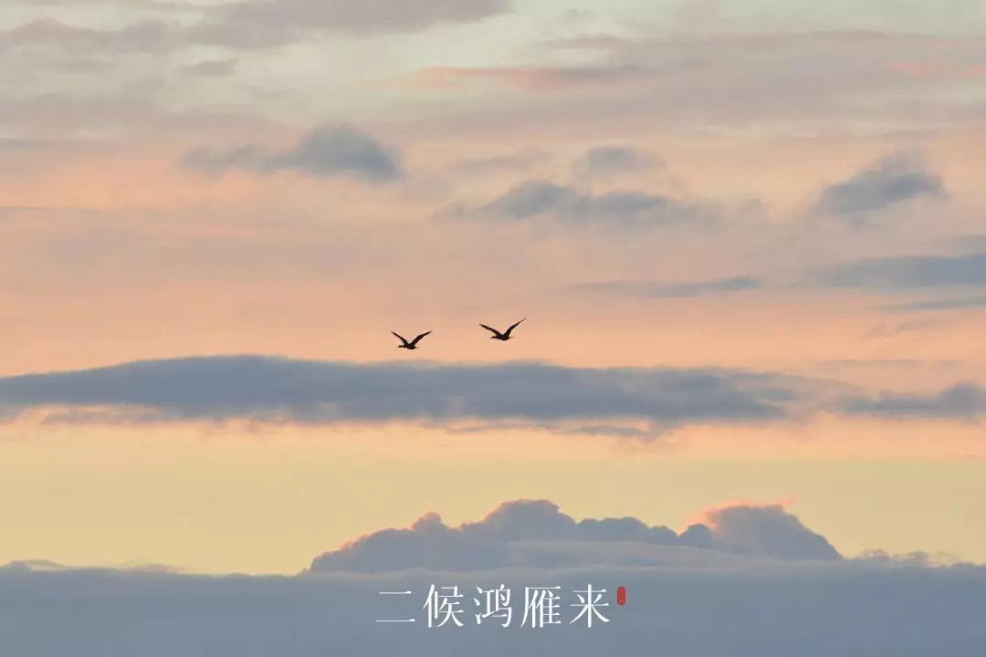 雨水：春雨至，万物生