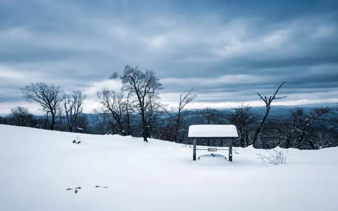 写雪最传神的三句诗，第一句太绝了，不愧是千古流传的名句