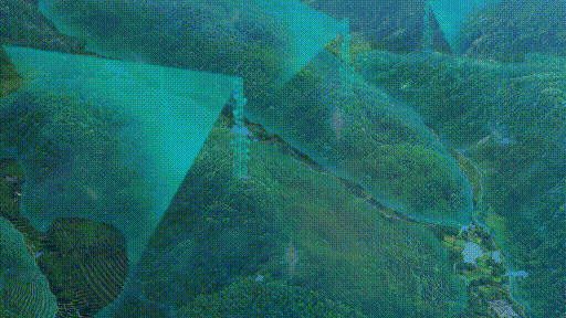 赛达科技推动森林防火地面全流程数字化监管体系建设