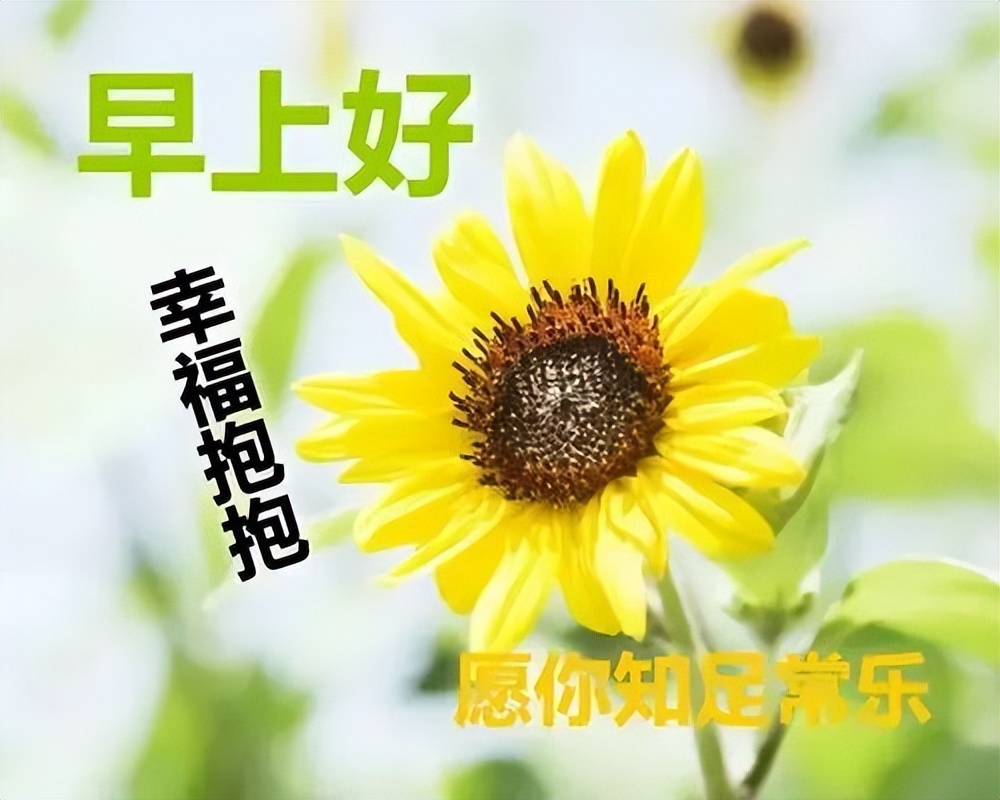 新的一天温馨美好祝福 祝愿你天天幸福快乐、一切安好图片
