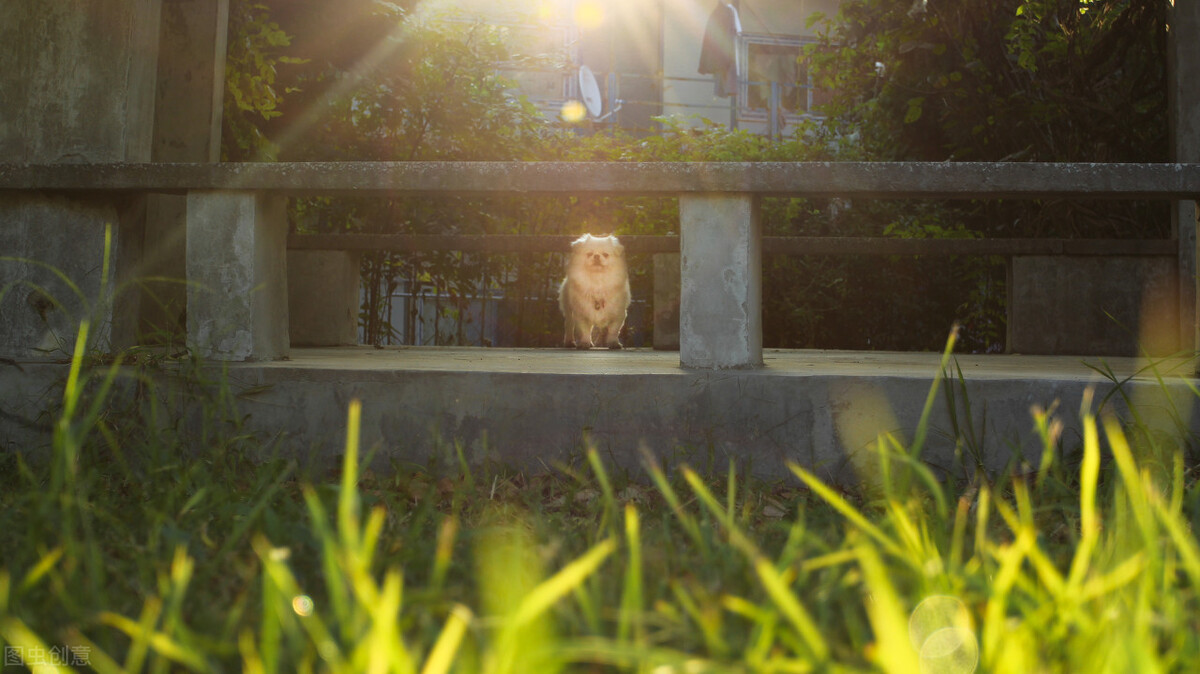 上海排名前5的专科学校，学生通过单招，综评专科考上，会很赚