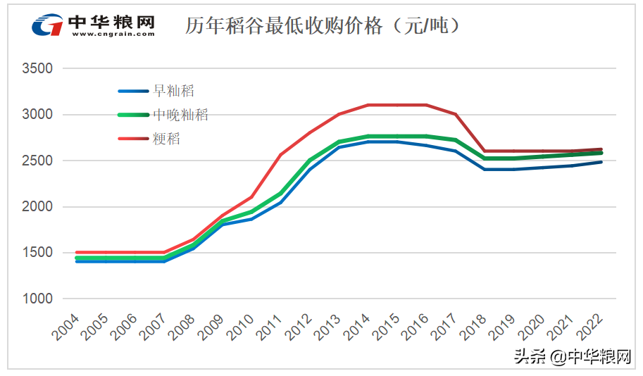 利好浮现 稻谷的春天正在到来