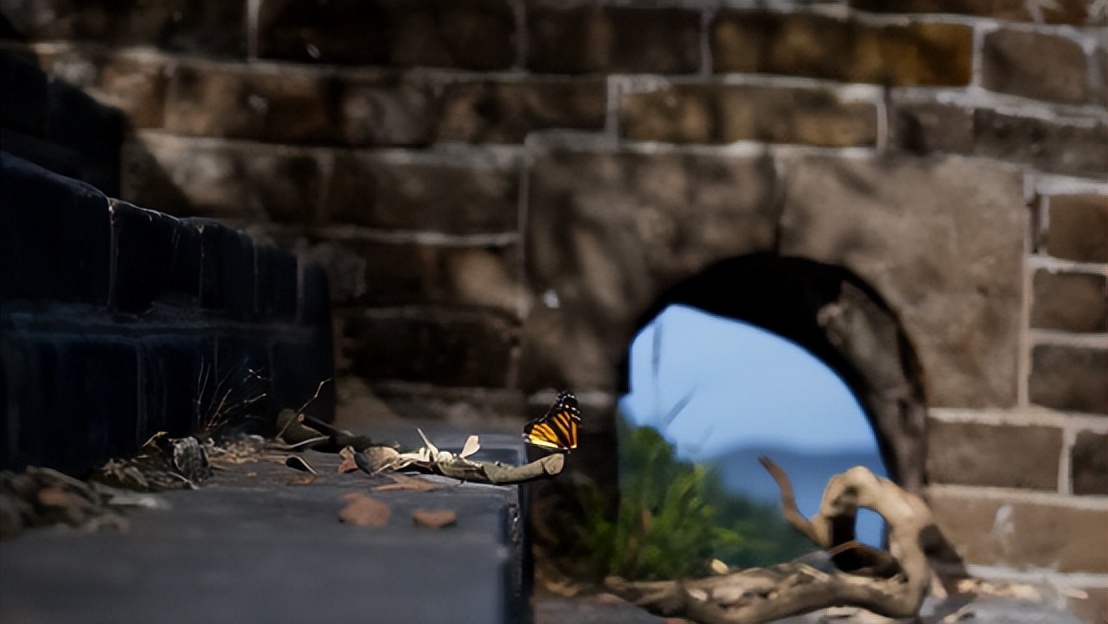 腾讯《数字长城》火了，数字文博能否走出可玩性、商业化困境？