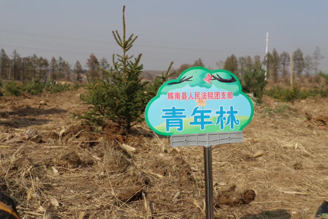 昨天，我们去植树啦