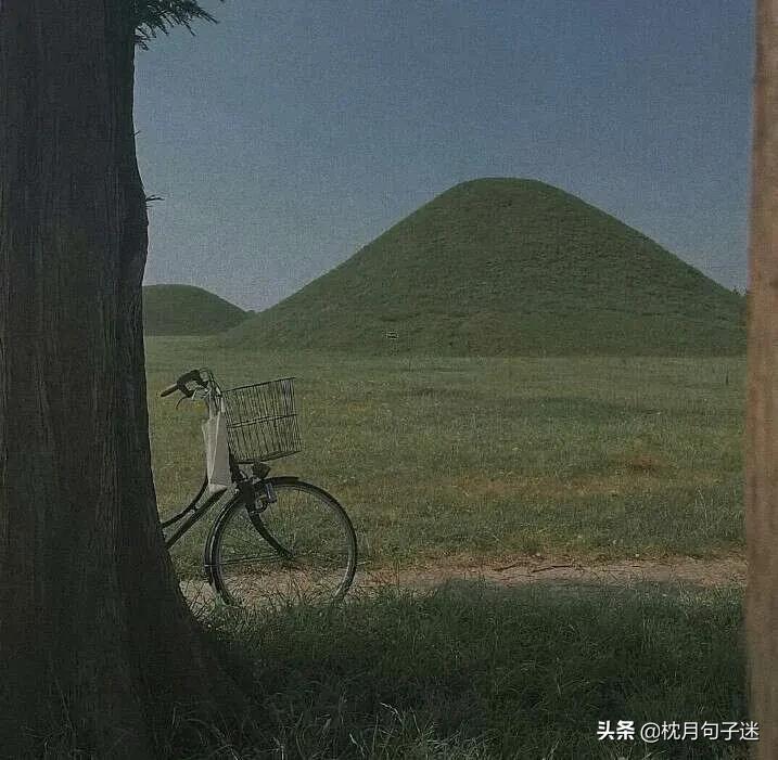 句子库‖不期待任何人，也不被任何人期待