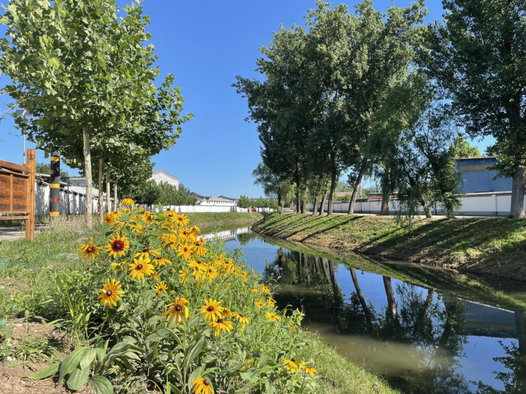 北小营这条河的两岸风景美如画