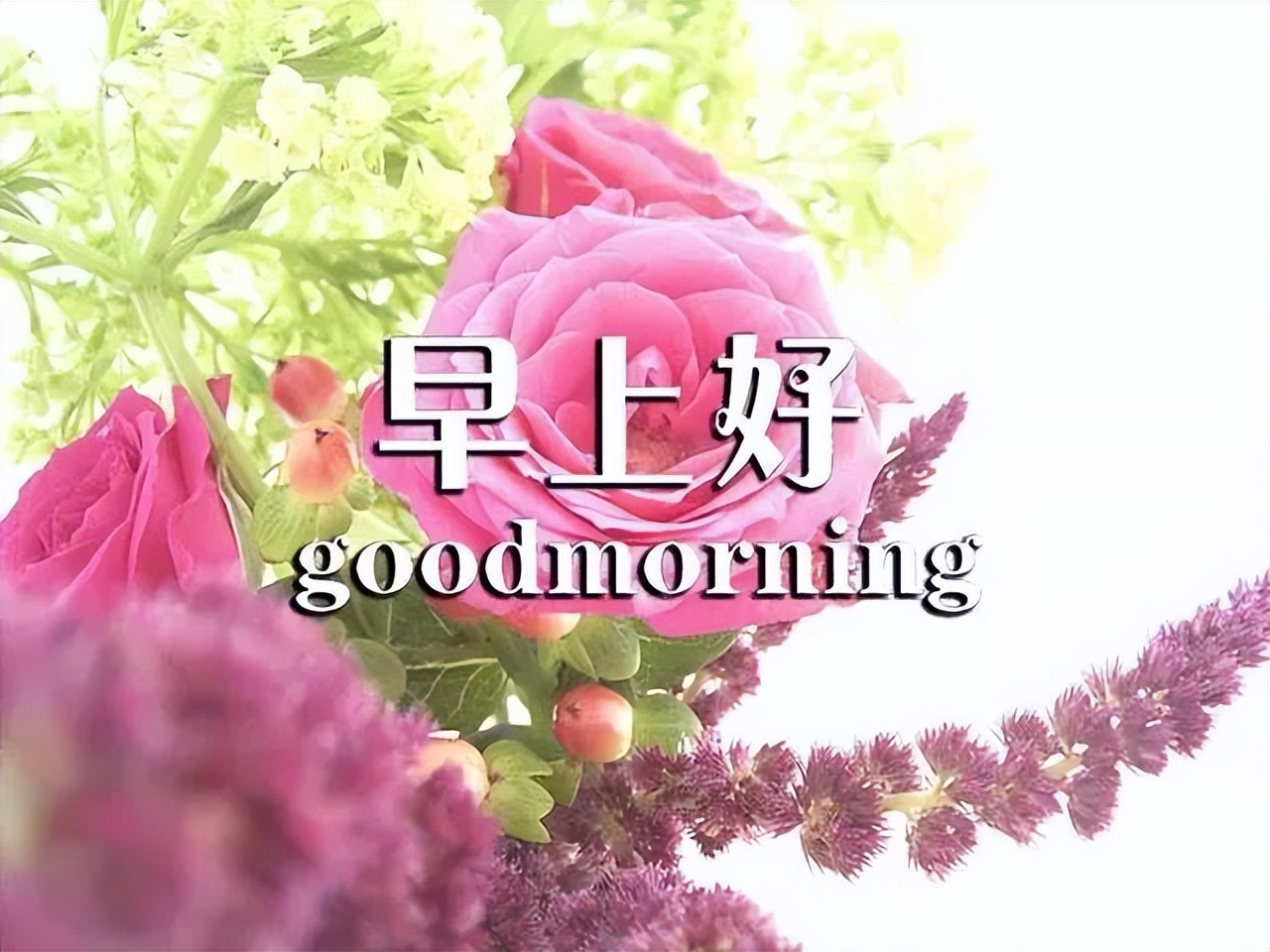 4月4日早上好表情图片，祝福问候永远在，真情永远，友谊天长地久图片