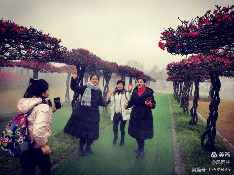 烟雨蒙蒙问花村 作者：武术兰