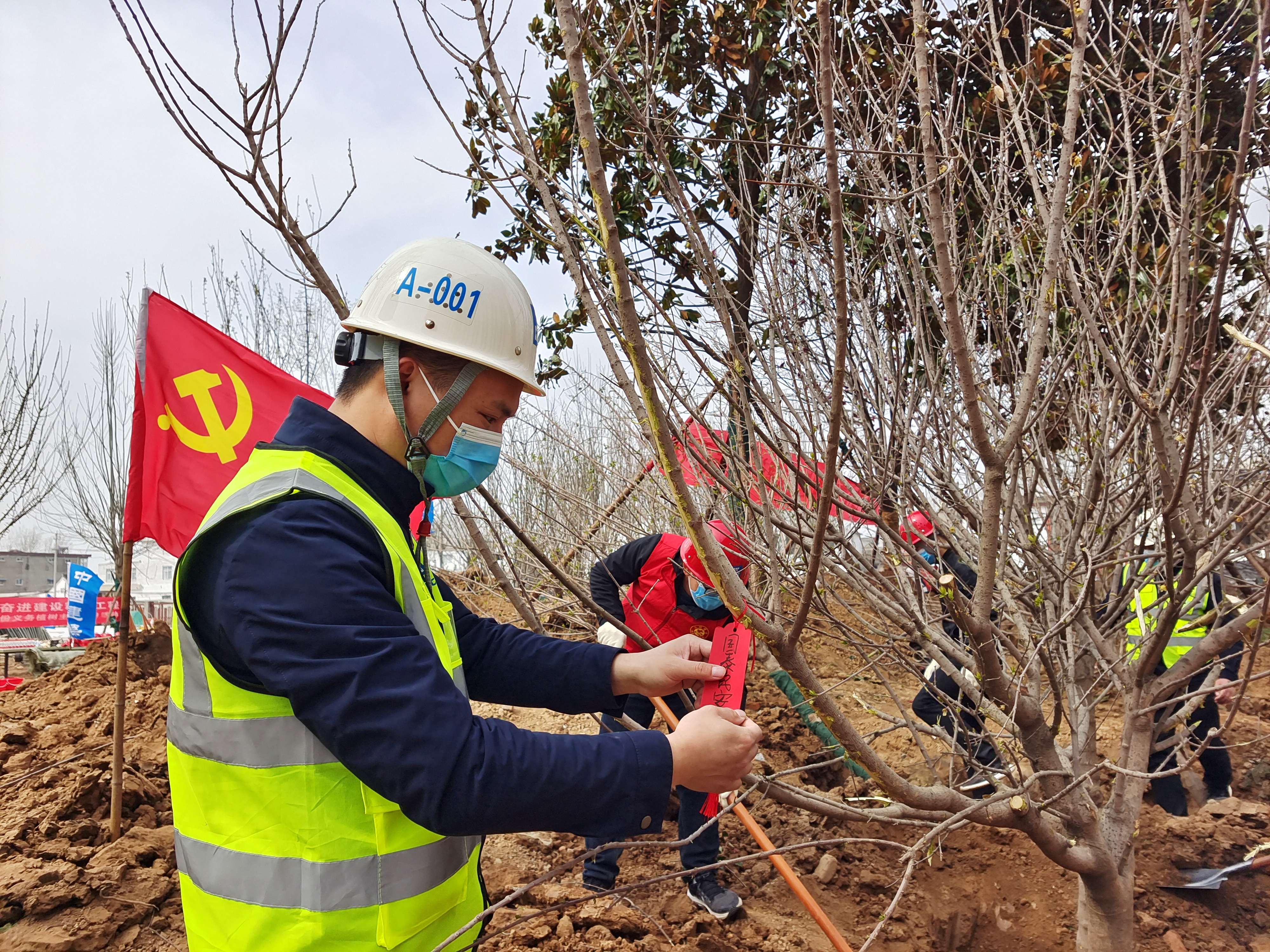 相约种植绿色友谊 携手共建精品工程