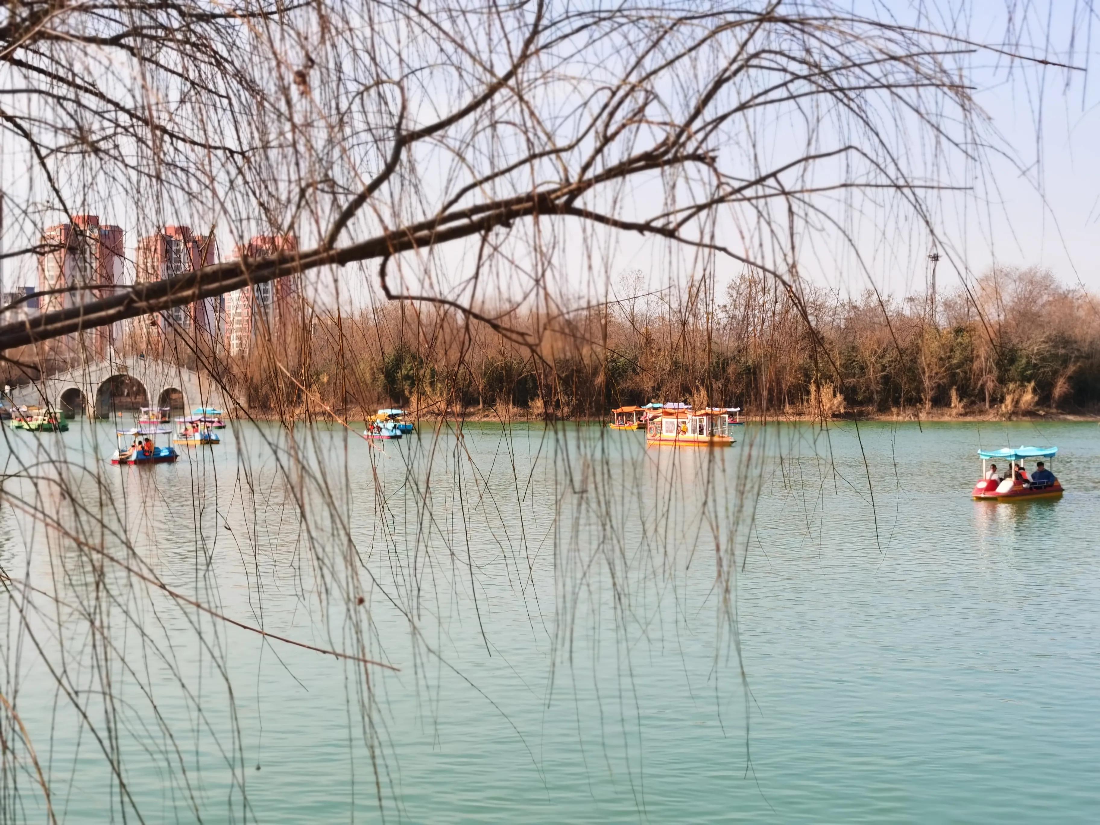 沈丘槐园(春日新槐园,人气旺到爆)