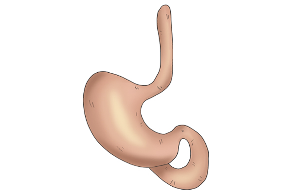 喝粥养胃，越病越重？别让错误方法害你，保证肠胃健康做好五件事