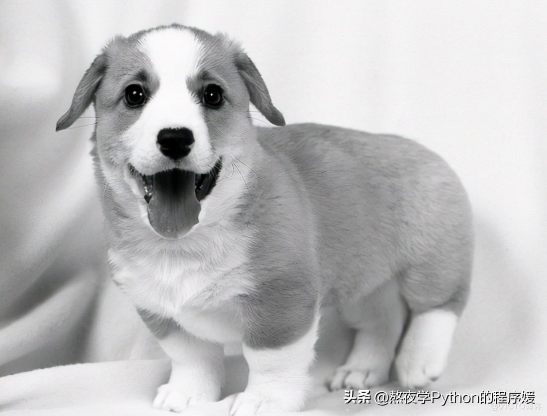 ![Python 细聊一下可以媲美 PS 的 PIL 图片处理库