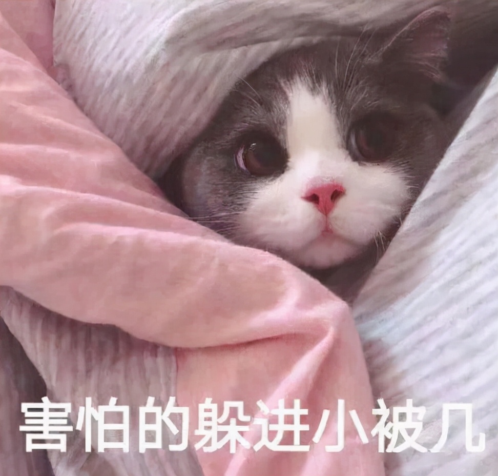 常说“十所大学九个坟”，在坟地边建大学，真的有什么说法吗？