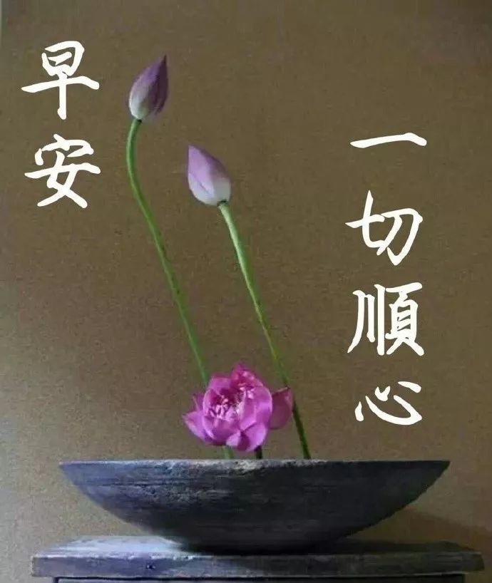 温暖的春天早上好朋友圈祝福语短信大全2022最新 和气能交天下友图片
