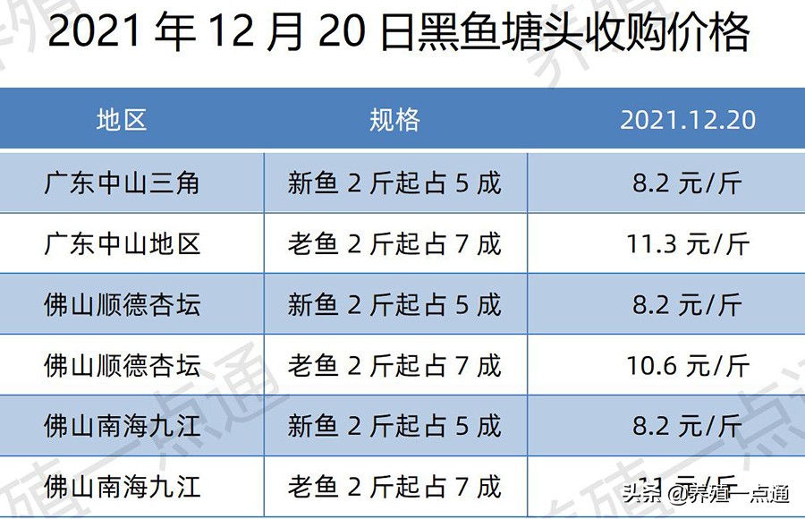 2021年12月20日，罗非、花鲢、鳊鱼、鮰鱼、鲫鱼、黑鱼、鲤塘口价