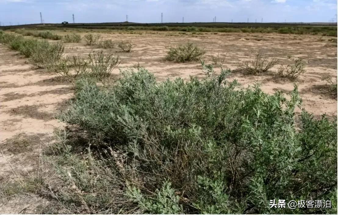 中国发明高效率“固沙车”，一天可治理40亩沙漠，已在甘肃使用