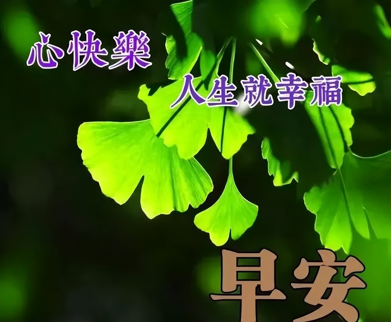 最新早上好表情包，天天好心情，平安快乐每一天，愿你今天好心情图片