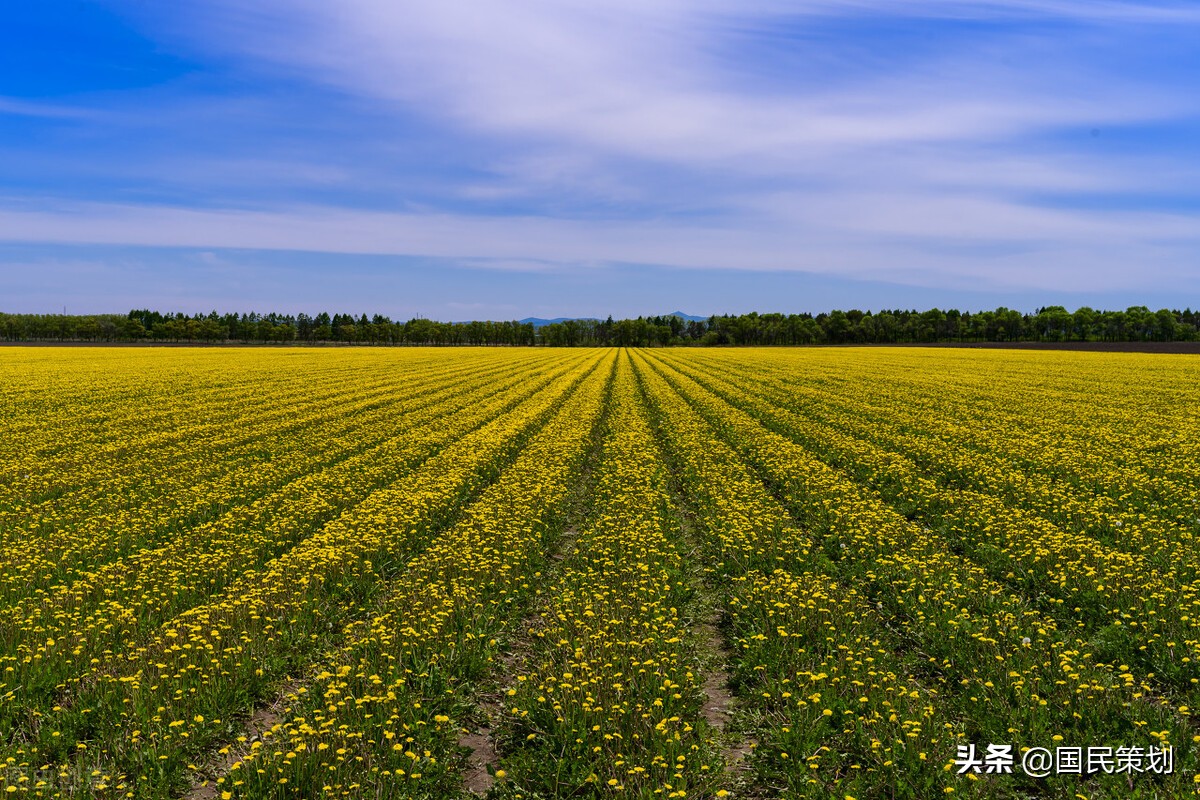 2022年，批准创建40个优势特色产业集群，建议收藏