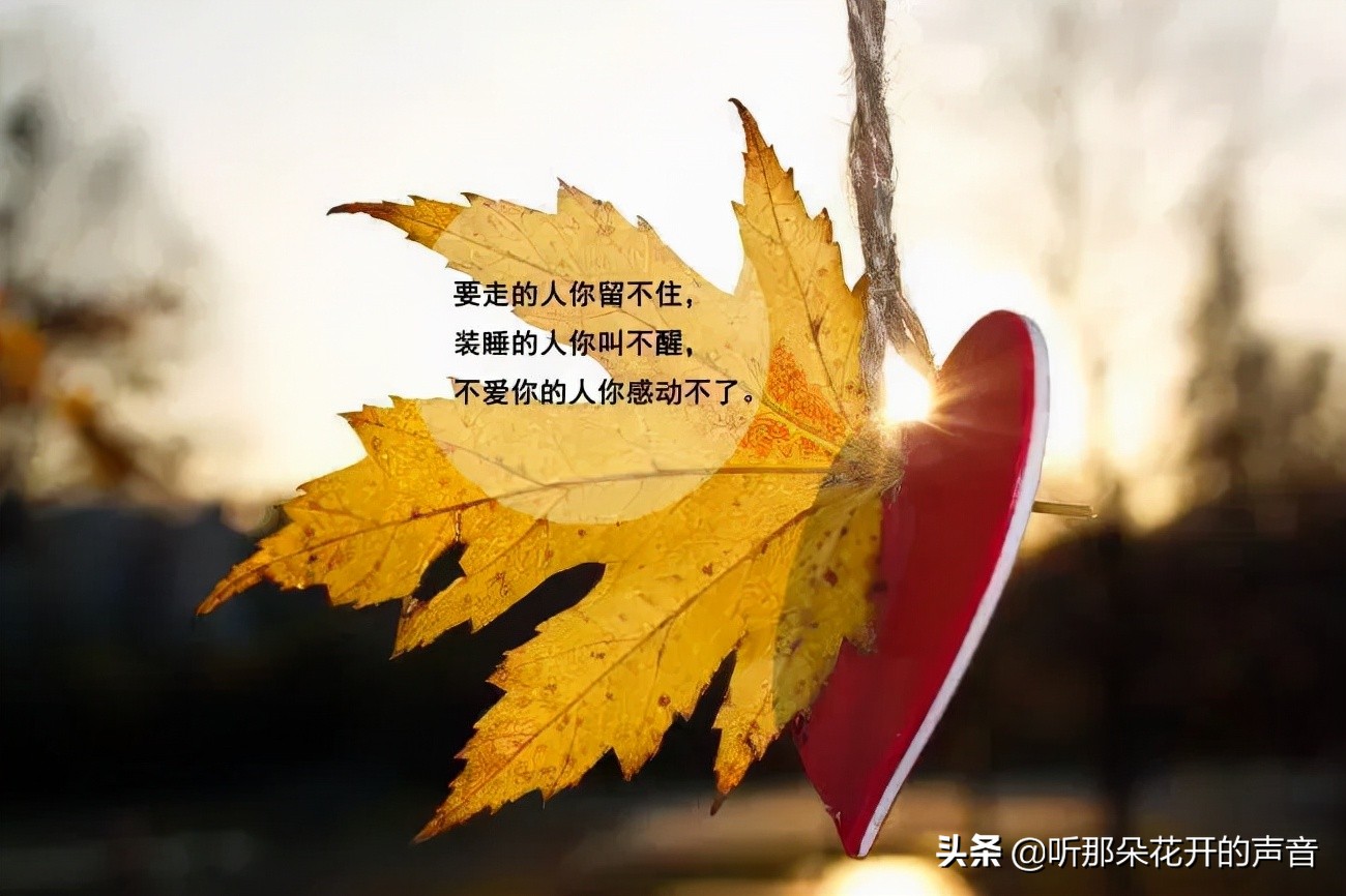 一个人,喜欢安静地依着窗前,在一盏茶香中沉默着,思考着.