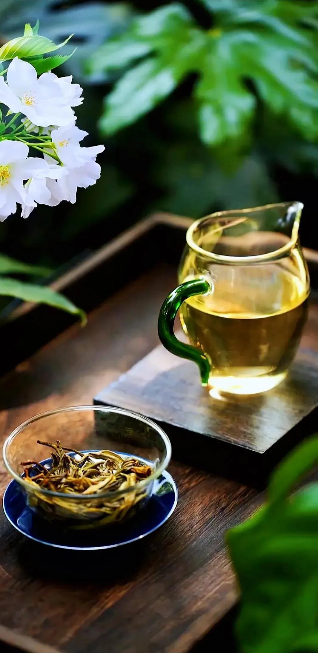 一杯清茶过苦夏,天地始交万物长 - 龙井茶