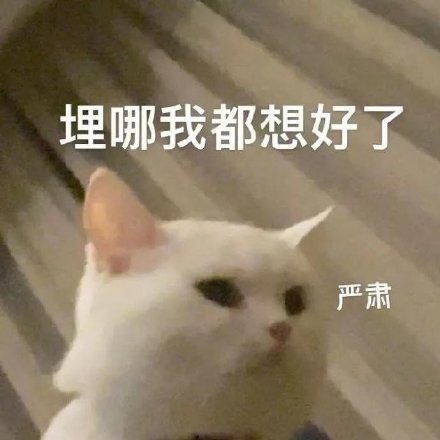 情人节是互相送礼物吗（情人节需要互相送礼吗）