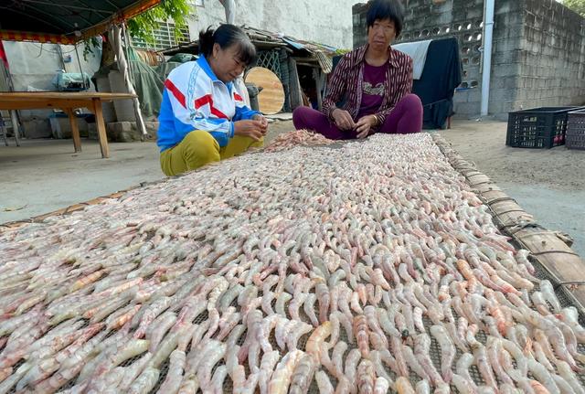 海南印象：女人太能干了，海边晒的大鱼干你认识吗？