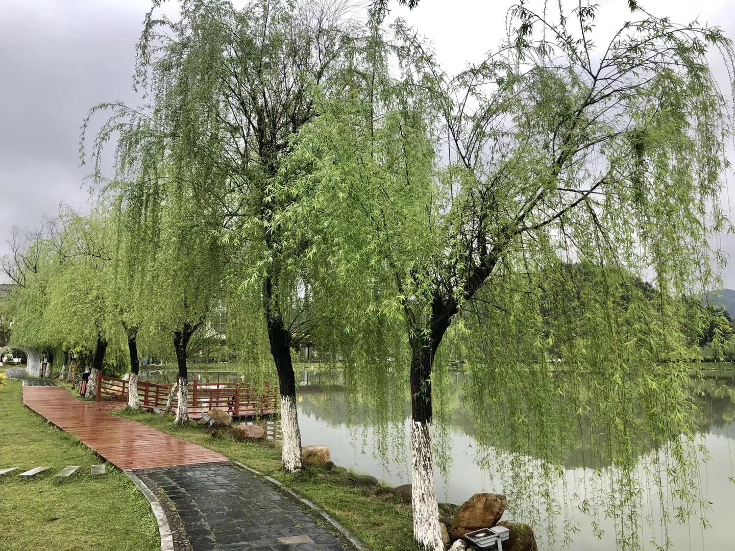 (三)踏青出游赏光景,扶堤柳岸最缠绵.草长莺飞二月天,万物抽丝
