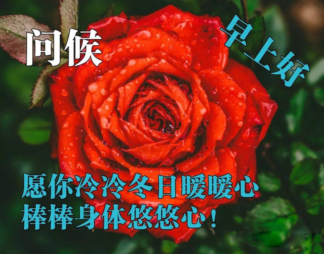 星期五丰收节早上好问候语图片带字温馨 乐在生活、丰收喜悦图片