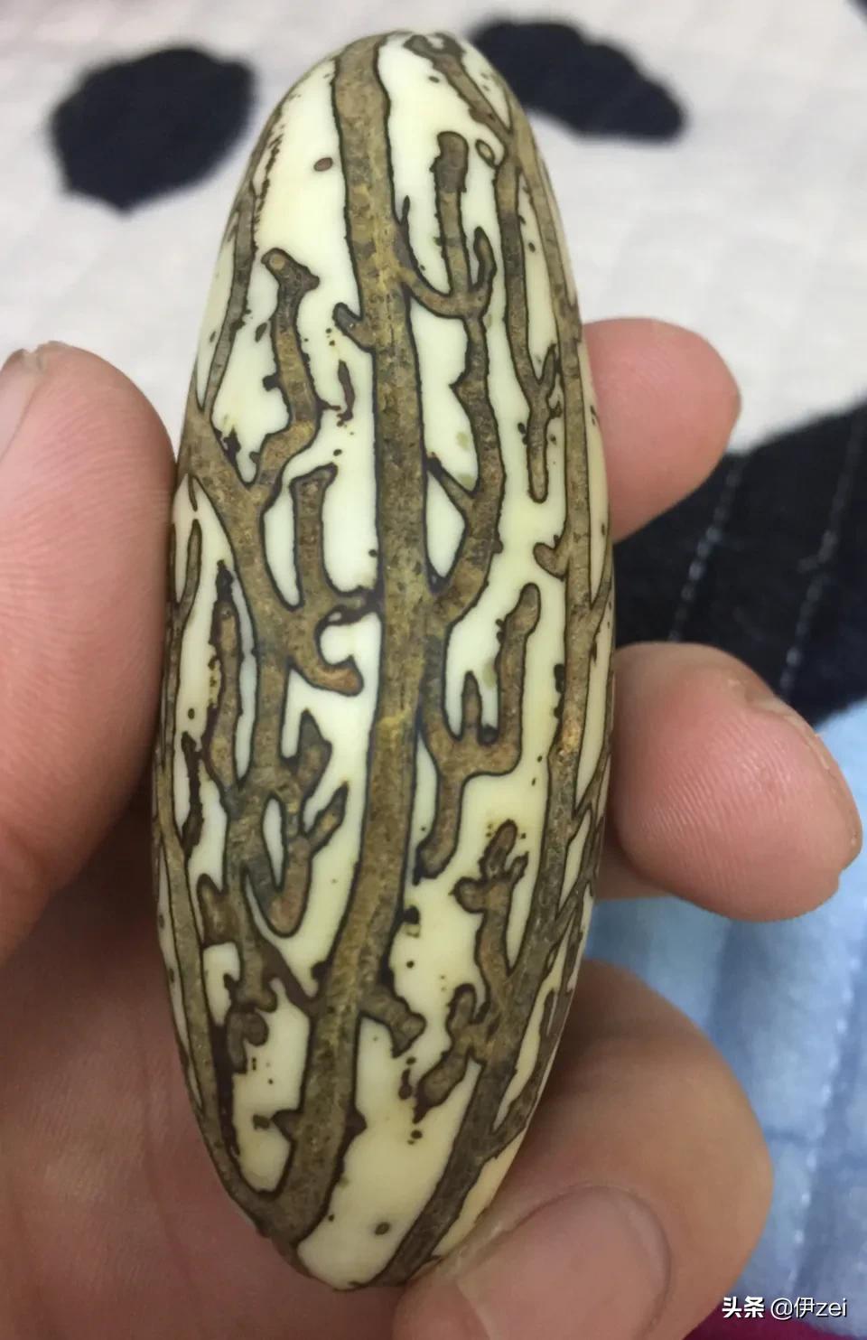 千眼菩提子图片千眼菩提包浆后图片