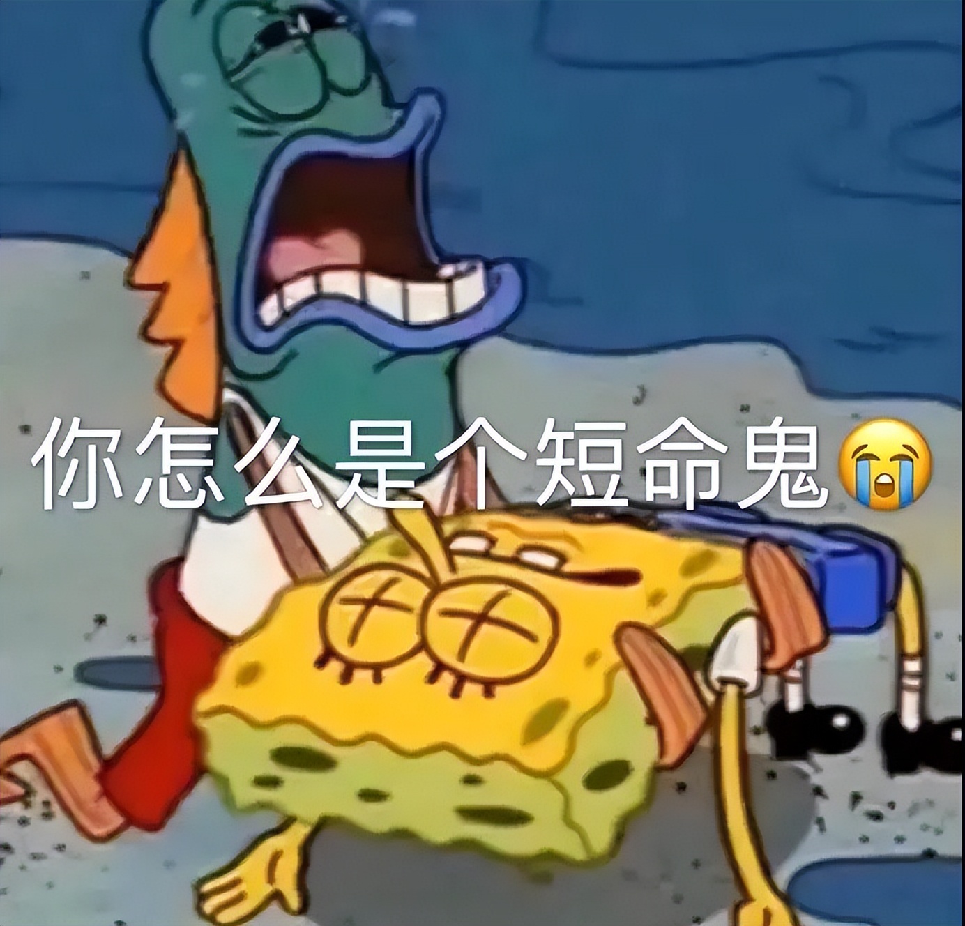 我们各自努力，最高处见