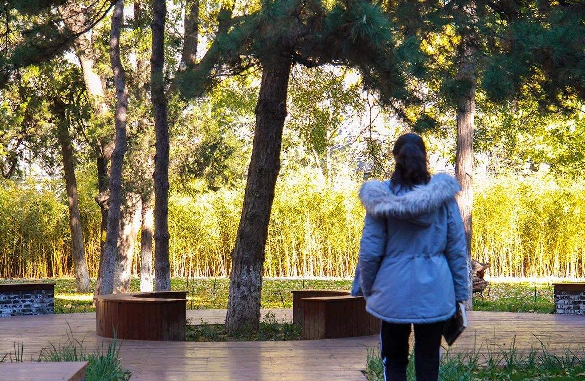 2005年清华女博士，因不想离婚而开枪弑夫，事后与尸体共住7晚
