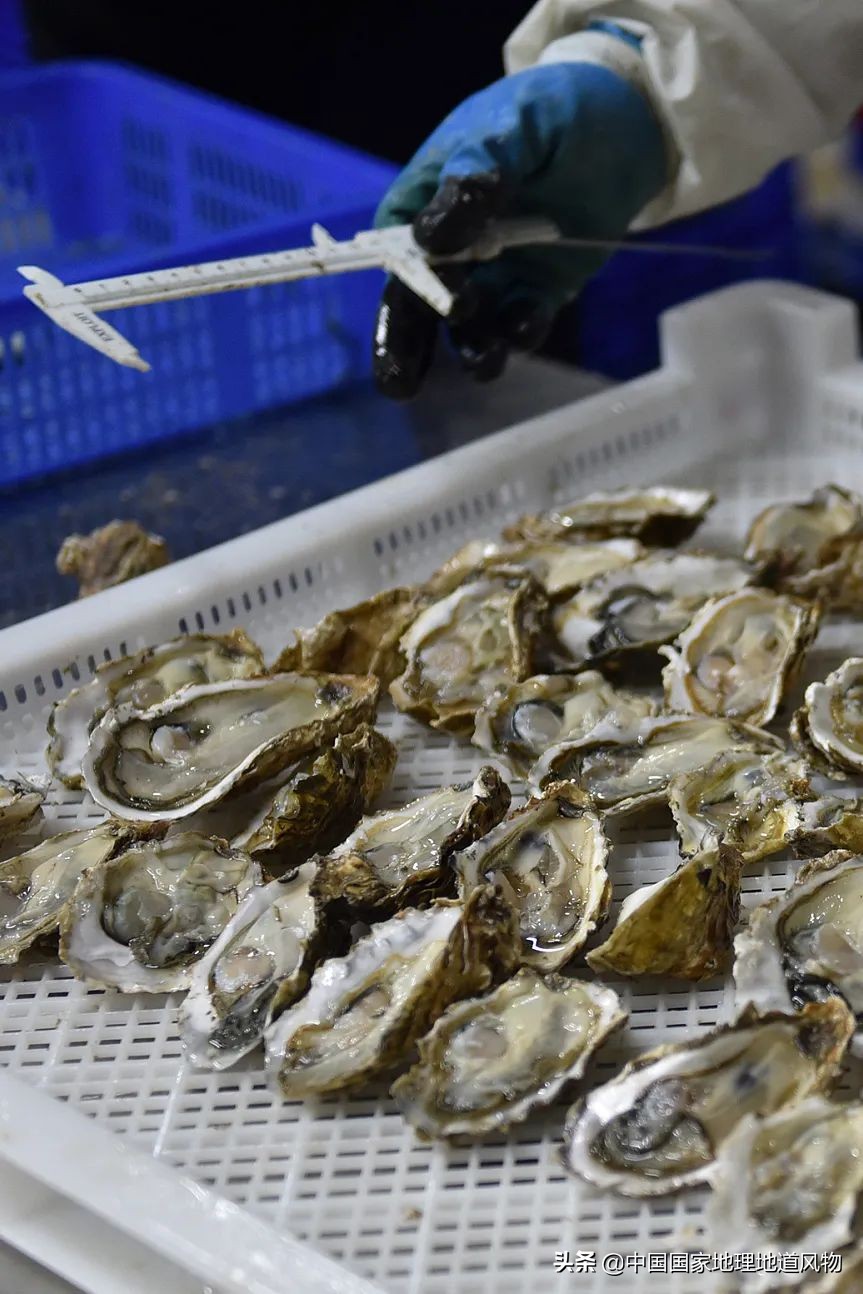 �й����ʴ�ʡ��ô�࣬����������óԣ�