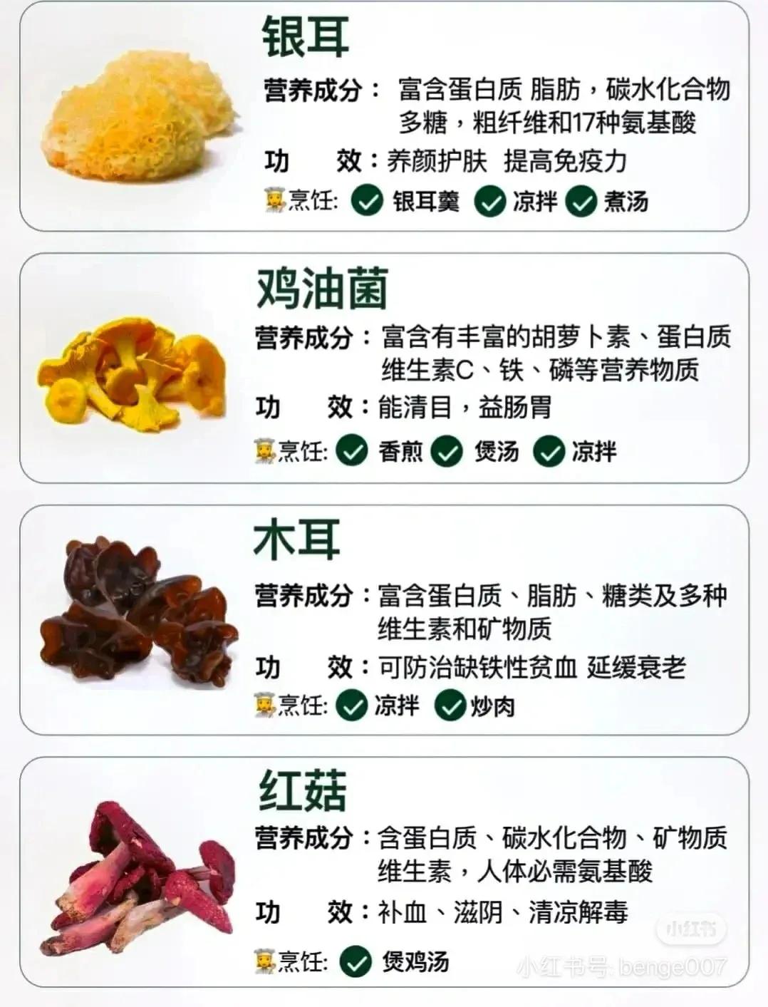 常見蘑菇的分類