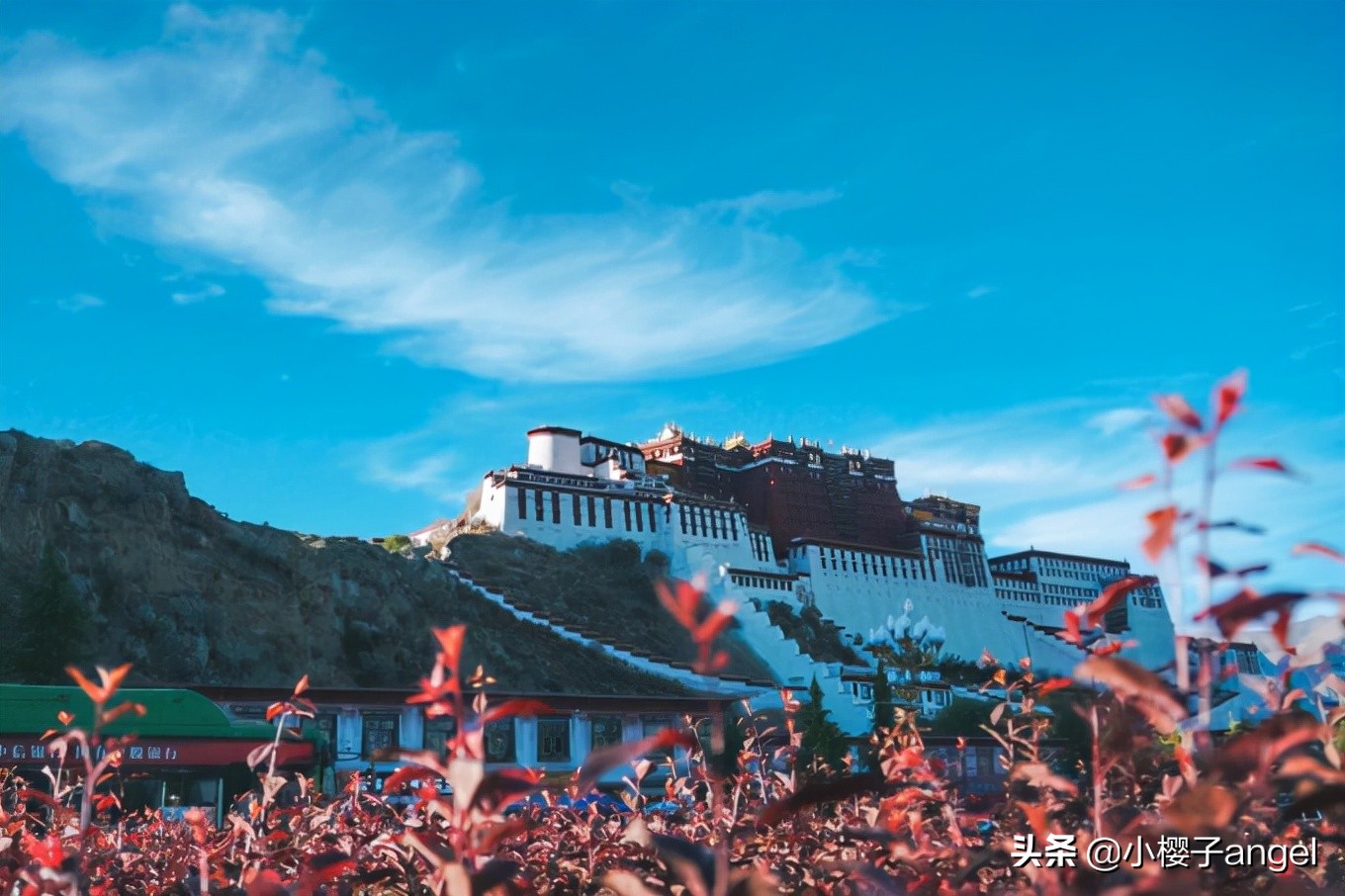 阿里南线｜西藏往西，奔赴滚烫山河