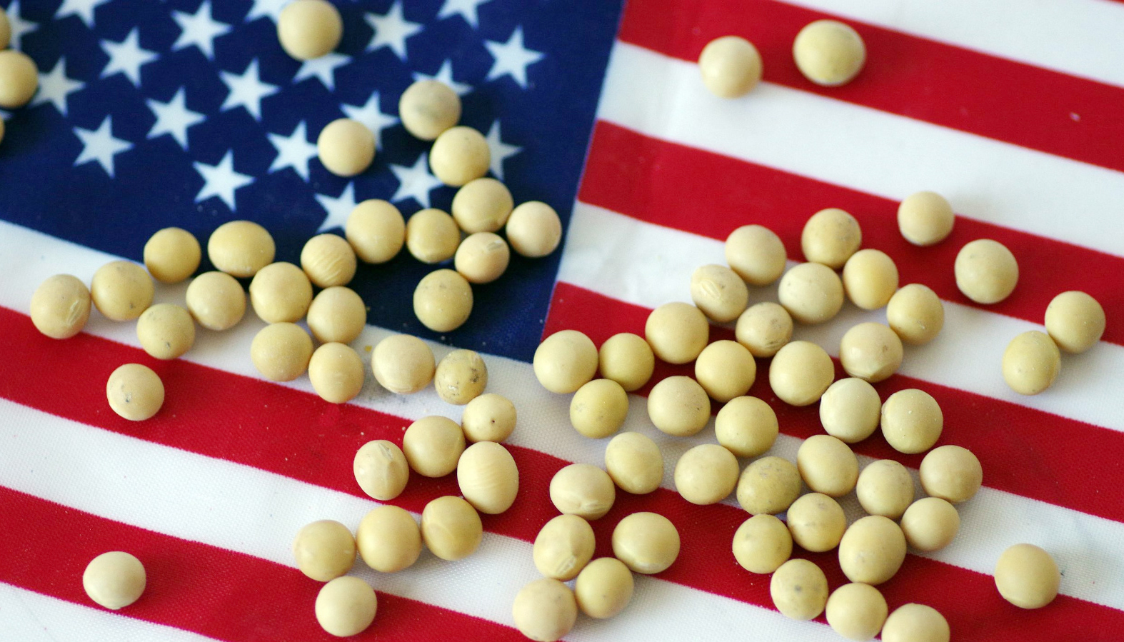 今天,我们中国老百姓的日常生活,为什么处处都受到美国的影响?