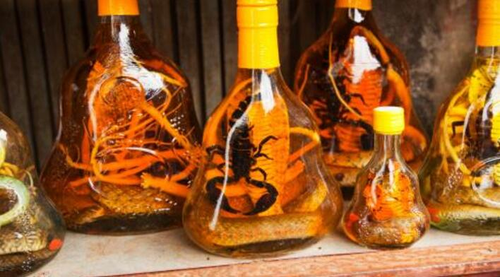 蛇酒变蛇腐败液!30年蛇酒喝到出现生理反应,10年药酒毒死两只鸡