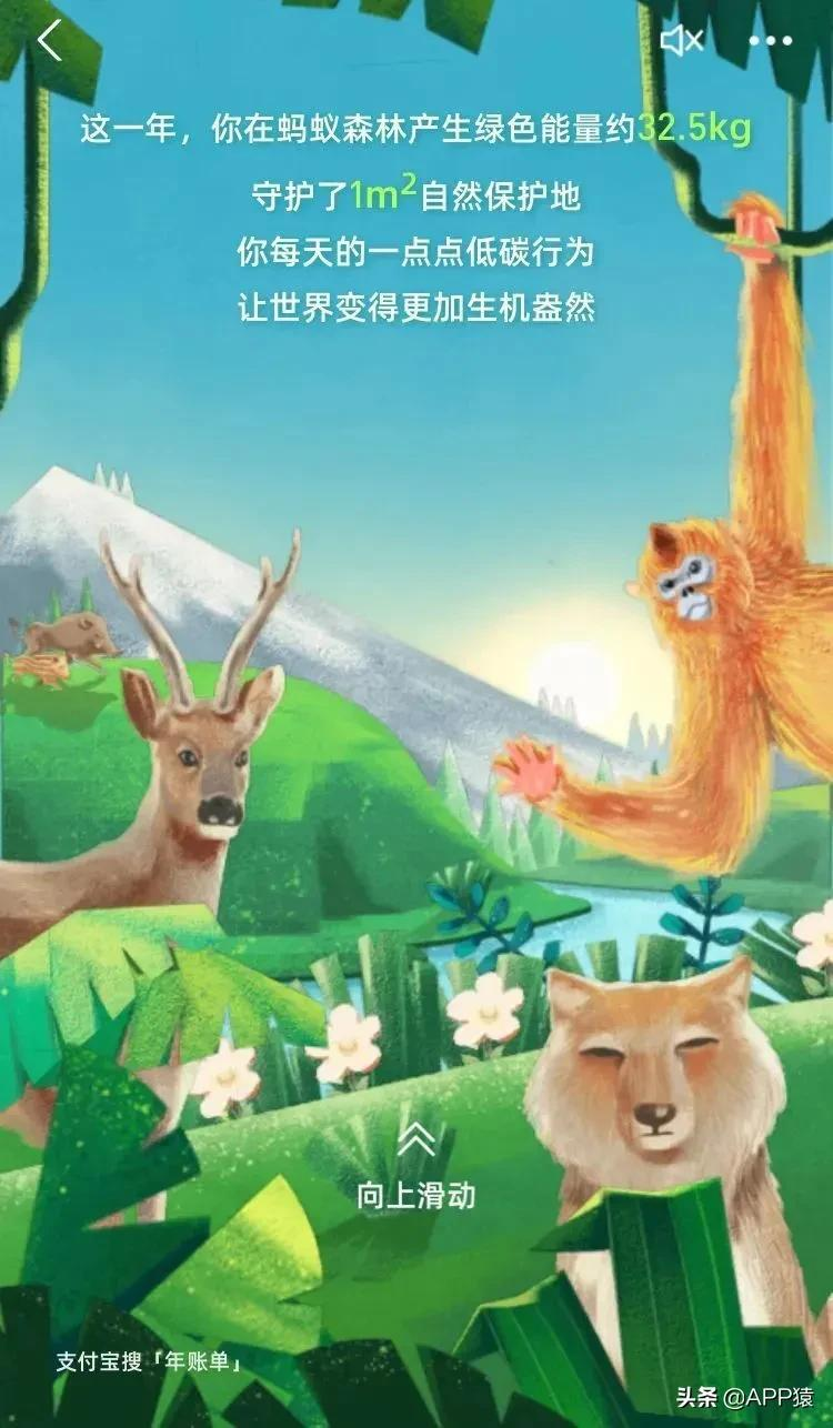 支付宝、微信年度账单来了,2021年你花了多少钱?