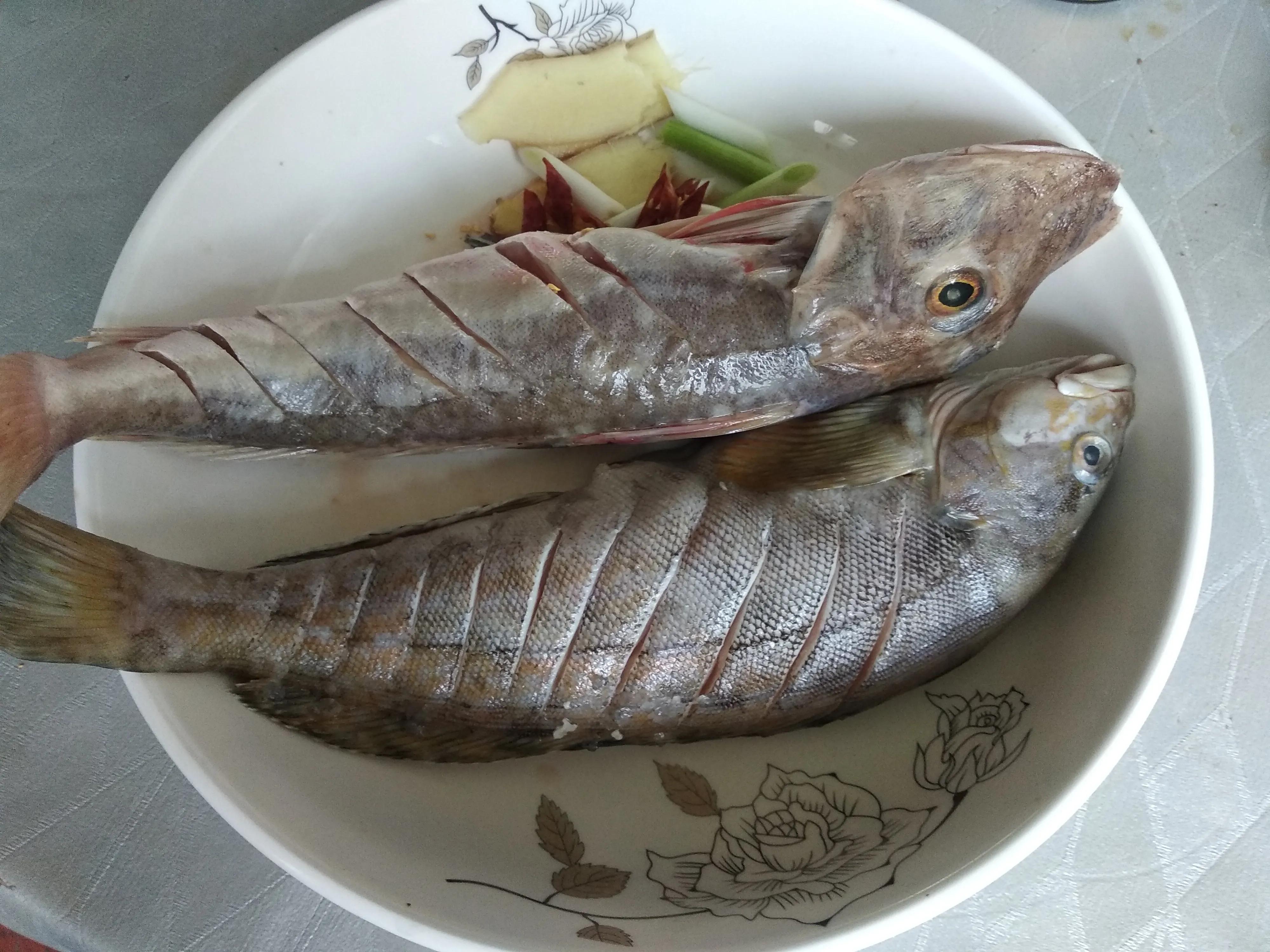 十大最好吃的海鱼(有营养，味道好的10种海鱼)-风水人