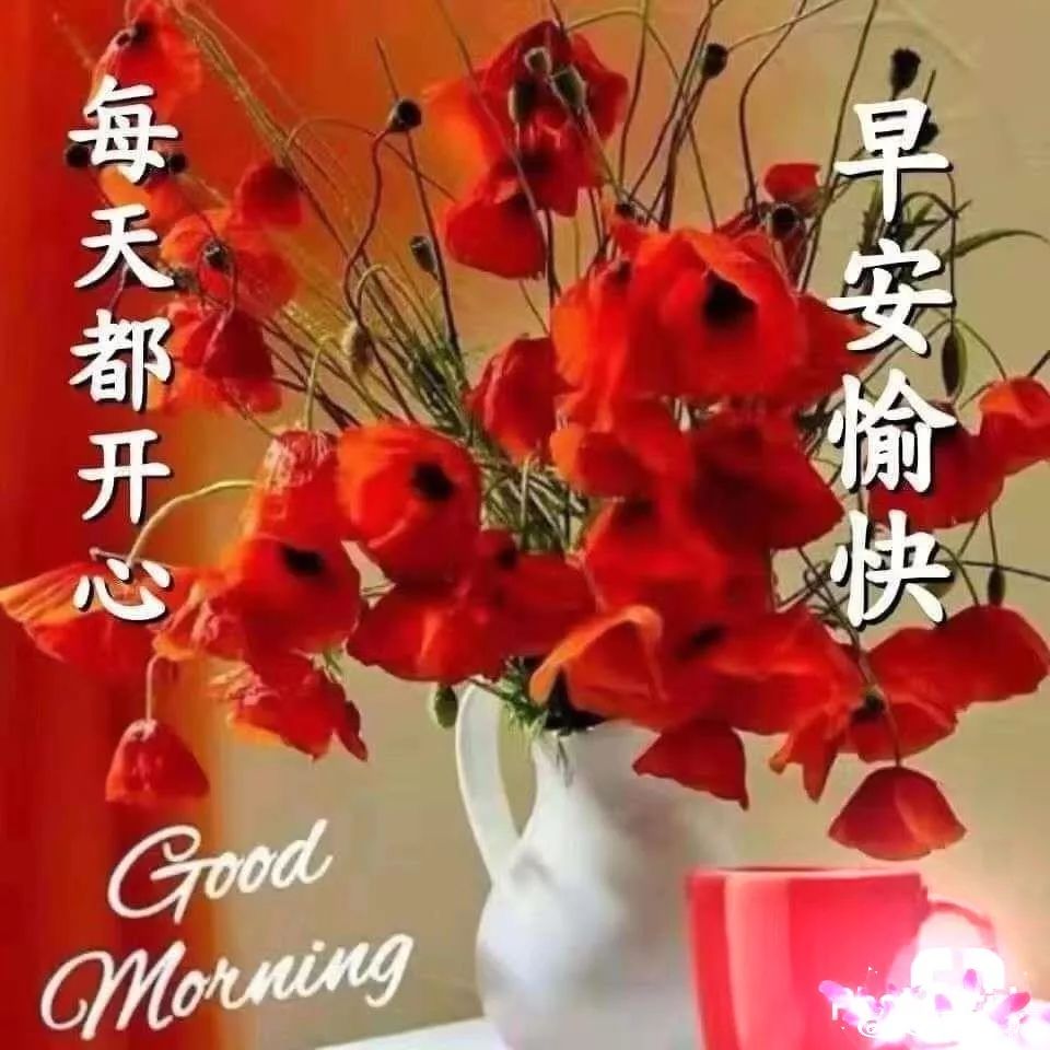 2022早上好祝福动态表情图片，早安愉快，每天都开心图片