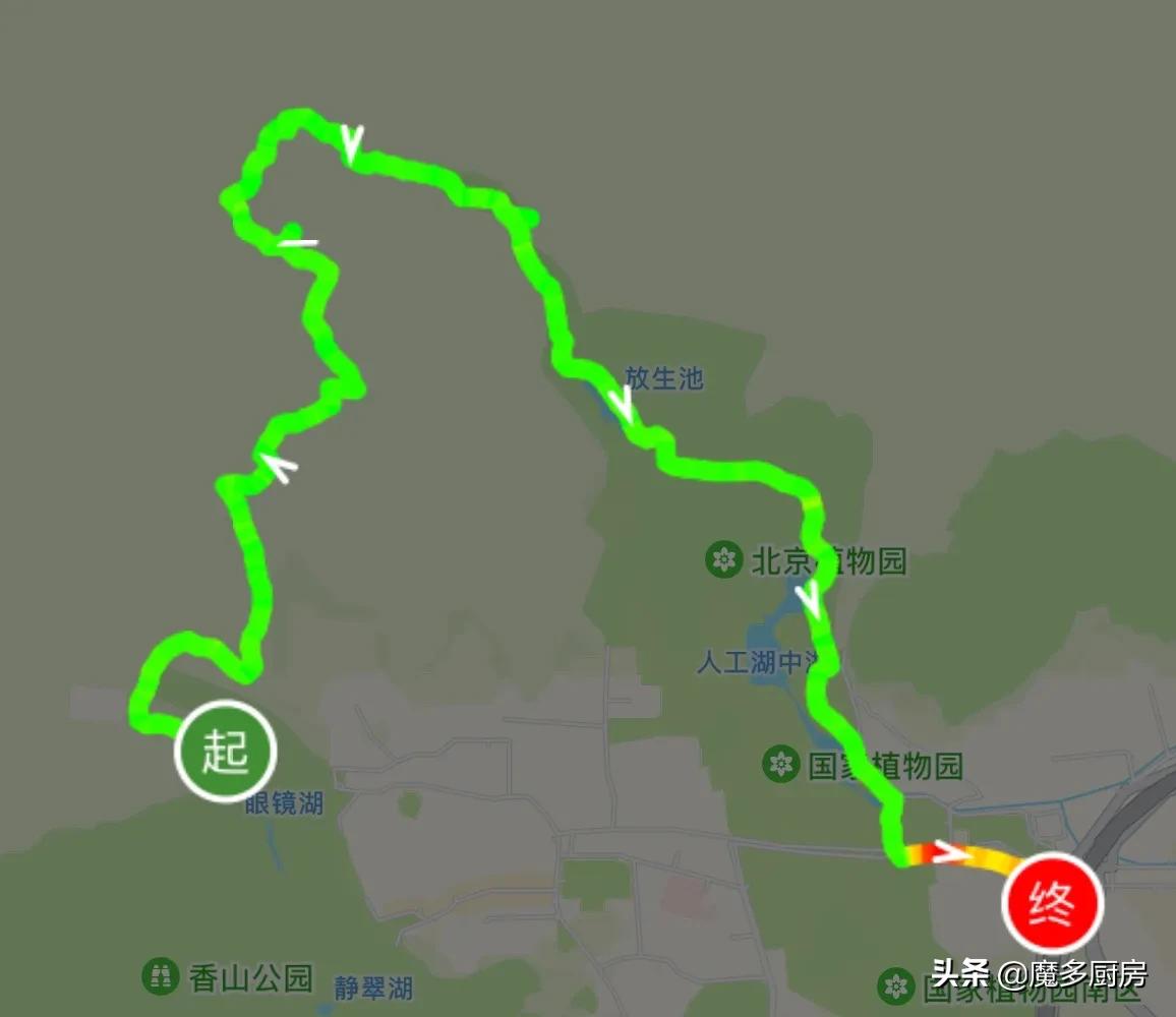 北京香山植物園戶外記錄，帶孩子們雨中山野徒步，感受自然樂趣