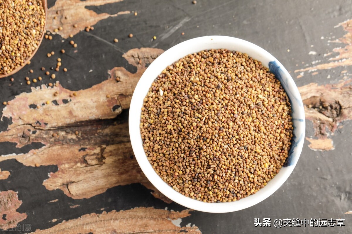 肾阳草的图片和价格(腰肌劳损) - 价格百科