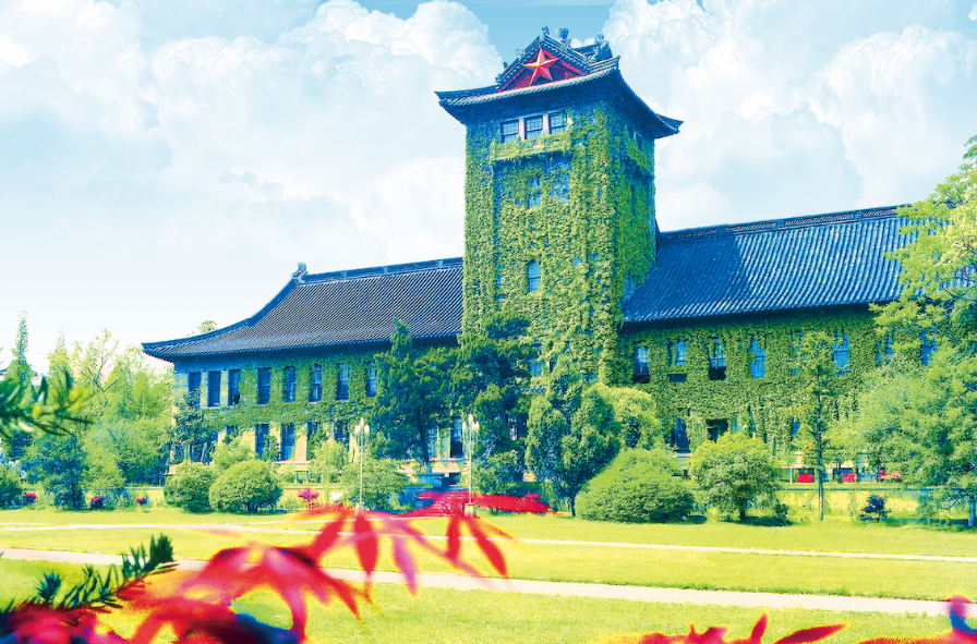 江苏省排名前十的大学，南京大学排第一，都是国内有名的高校